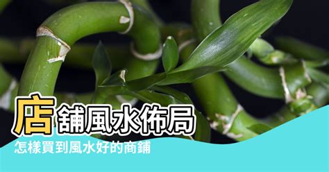 店舖風水|【店鋪的風水佈局】旺財8要素 